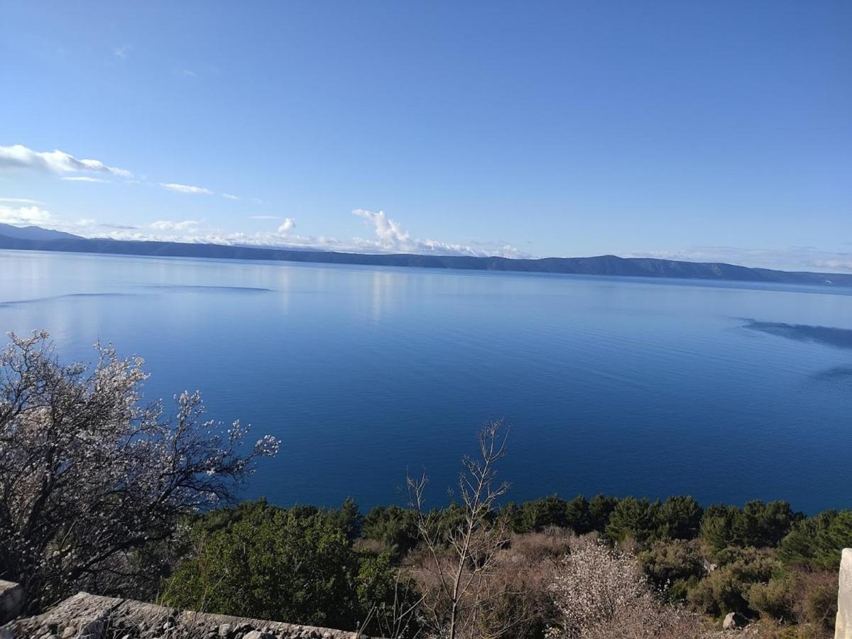 Apartman Krzenic With Sea View Podgora Exterior foto